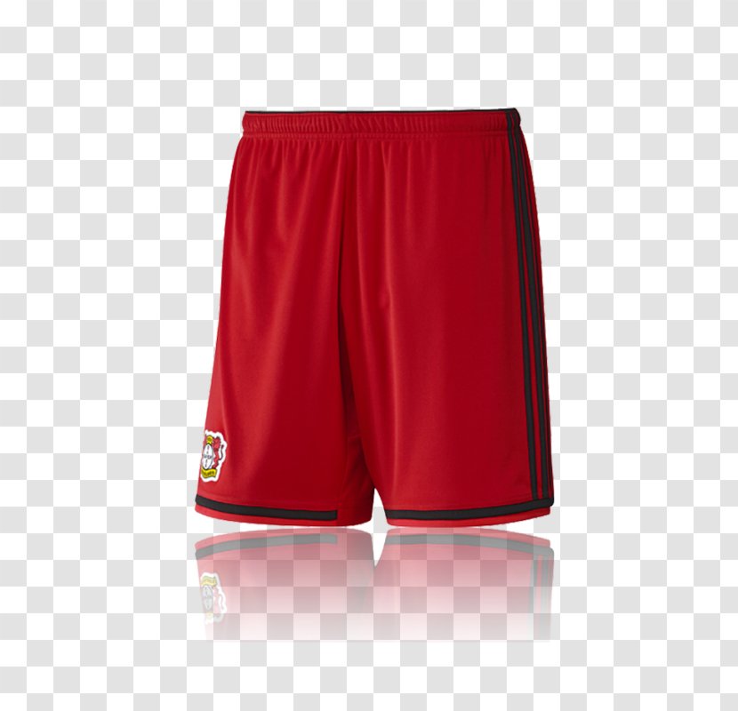 Swim Briefs Trunks Shorts - Brief Transparent PNG