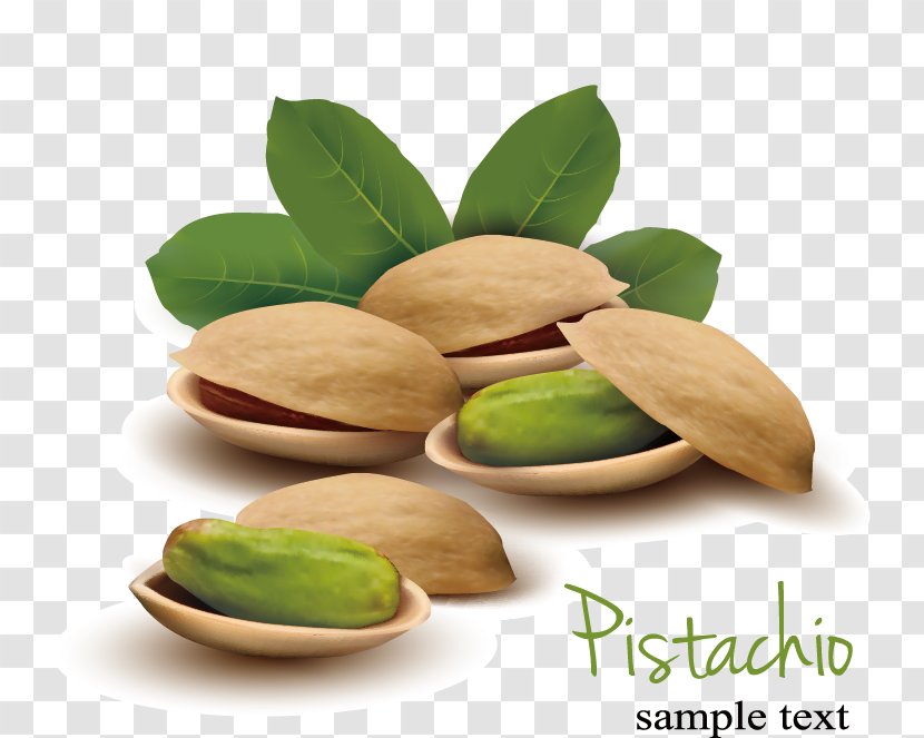Pistachio Nut Euclidean Vector Illustration - Peanut - Pistachios Transparent PNG