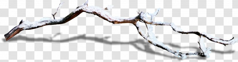 Winter Gratis Download - Earthly Branches Transparent PNG