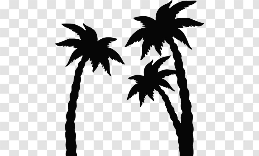 Coconut Arecaceae Silhouette Clip Art - Stock Photography Transparent PNG