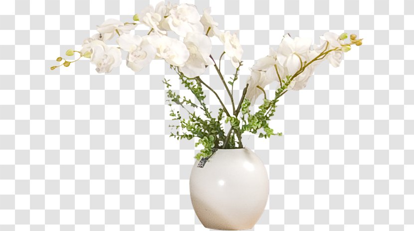 Vase Flower - Branch Transparent PNG