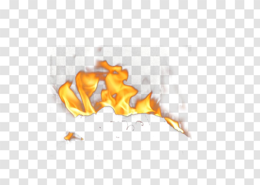 Fire Flame Clip Art - Heart - Elemental Transparent PNG