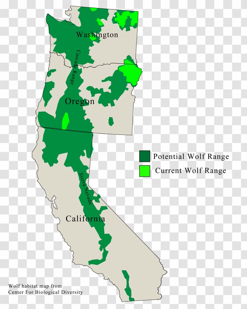 Oregon Coast Range British Columbia Wolf U.S. Route 101 In Territory - Us - Area Transparent PNG
