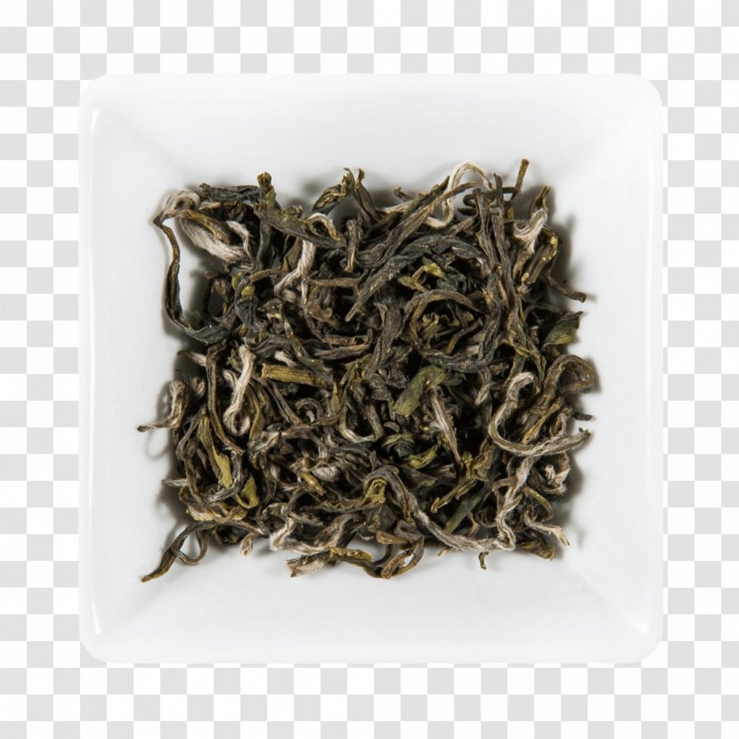 Oolong Darjeeling Tea White Baihao Yinzhen - Huangshan Maofeng - Green Transparent PNG