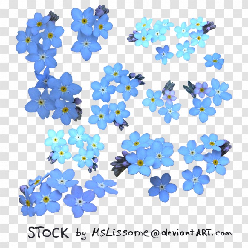 Clip Art Image Vector Graphics Flower - Flowering Plant - Ross Transparent PNG