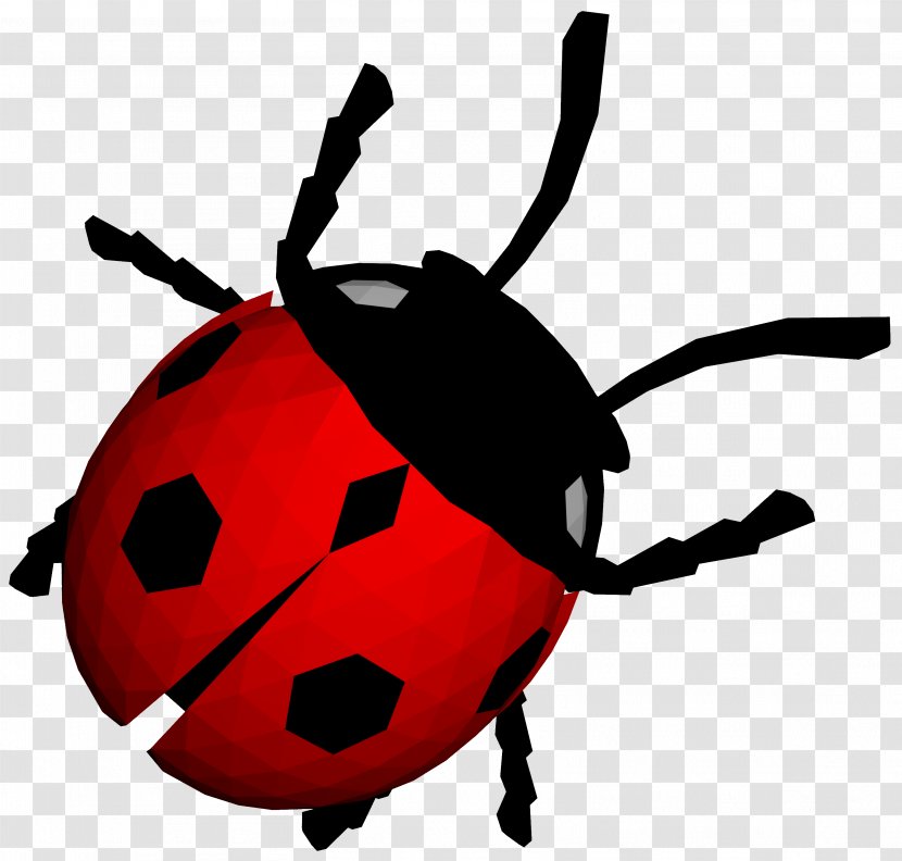 Ladybird - Membrane Winged Insect - Ladybug Image Transparent PNG