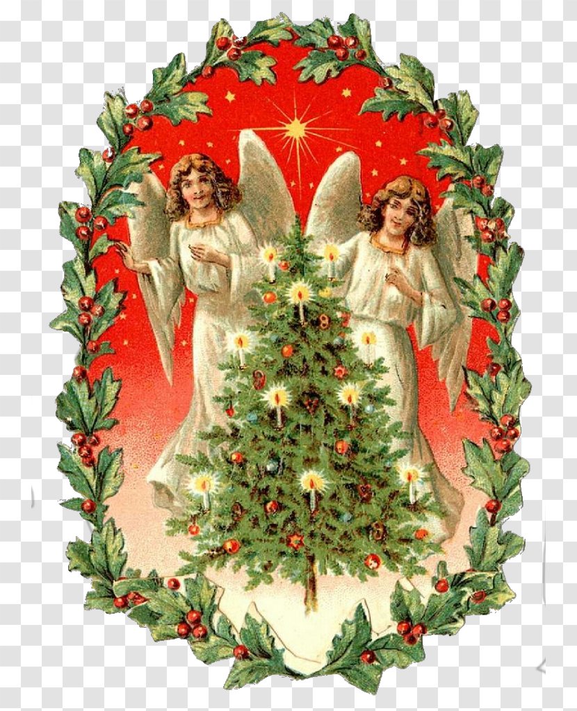 Christmas Decoration - Tree - Fir Ornament Transparent PNG