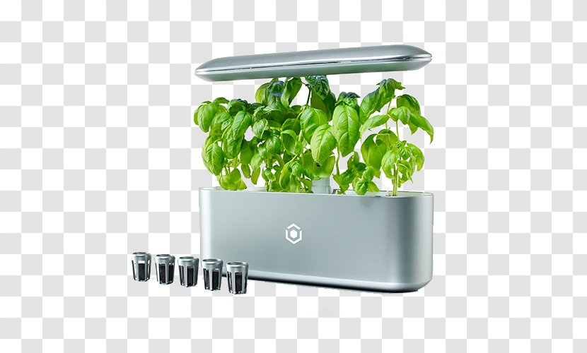 Gardening Hydroponics Garden Design Kitchen - Leaf Vegetable - Plant Transparent PNG