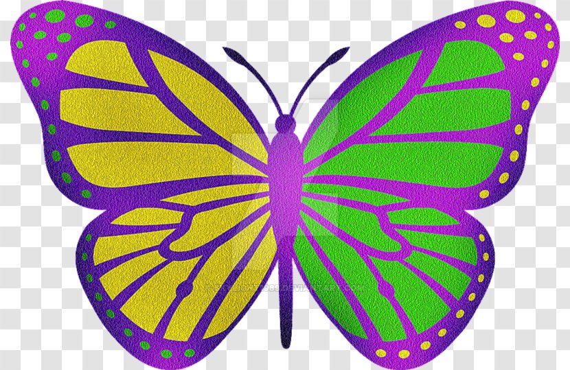 Monarch Butterfly Clip Art - Pollinator - Green Transparent PNG