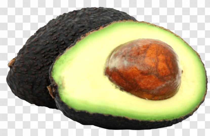 Avocado Clip Art - Fruit Transparent PNG