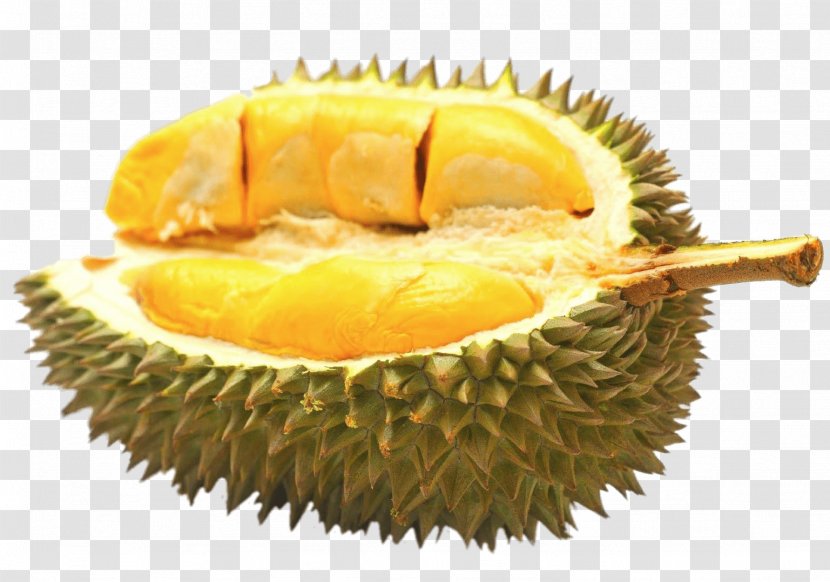 Durio Zibethinus Durian Pancake Auglis Fruit Flavor - Tropical Transparent PNG