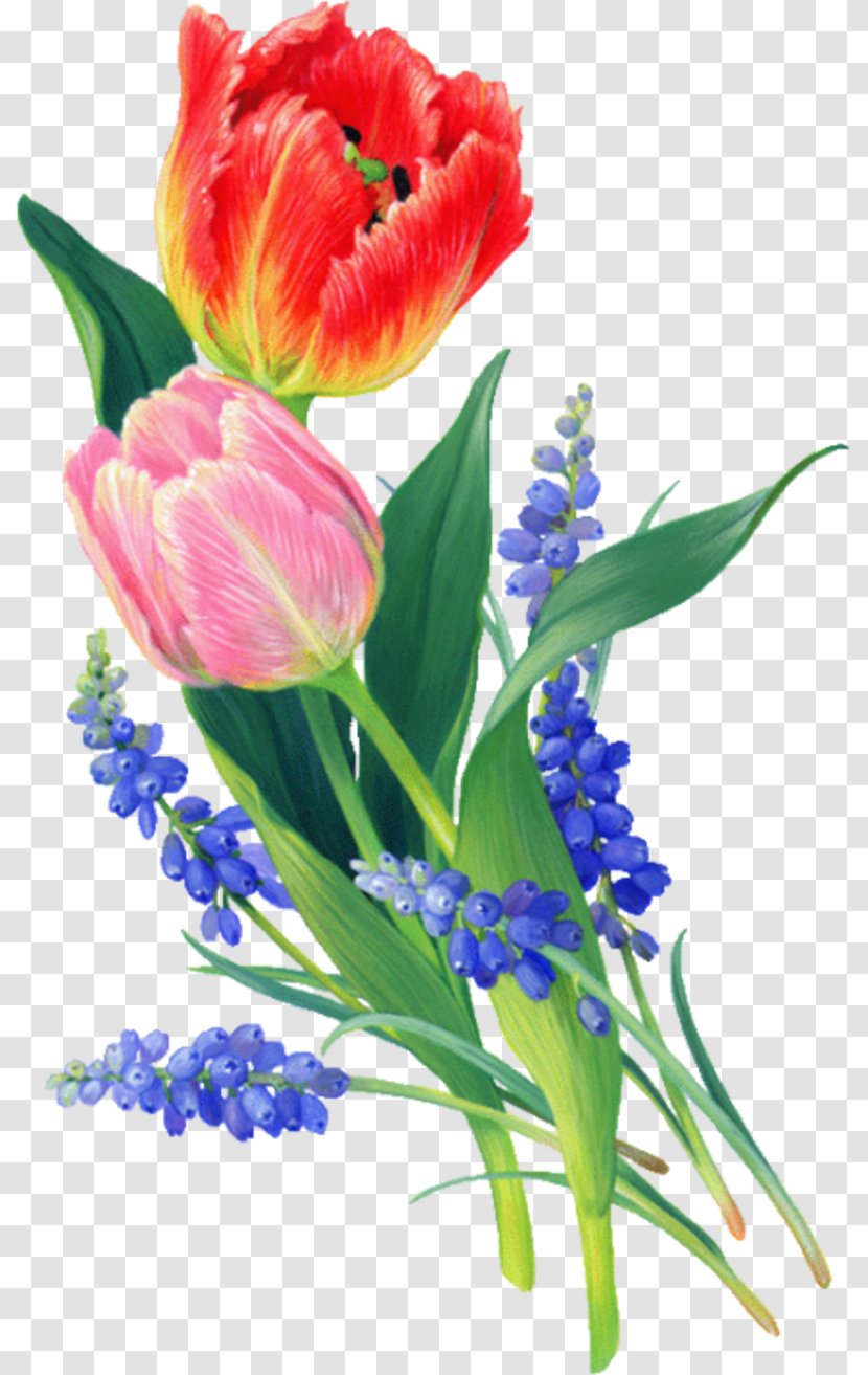 Animation Flower The Martyrdom Of St Sebastian Birthday - Tulip - Crocus Transparent PNG