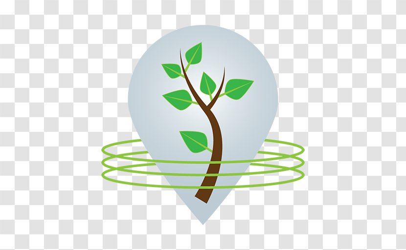 Product Design Logo Graphics Tree - Green - Three Dimensional Transparent PNG