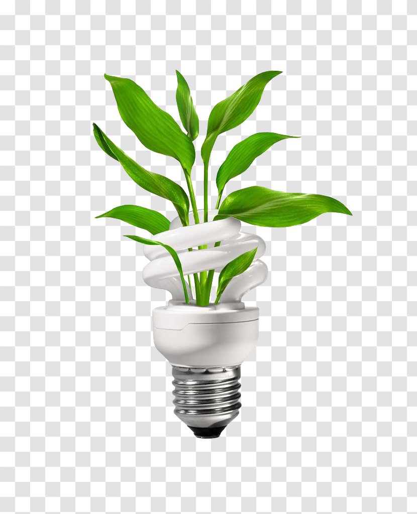 Energy Conservation Engineering Clip Art - Green Energy-saving Bulbs Transparent PNG