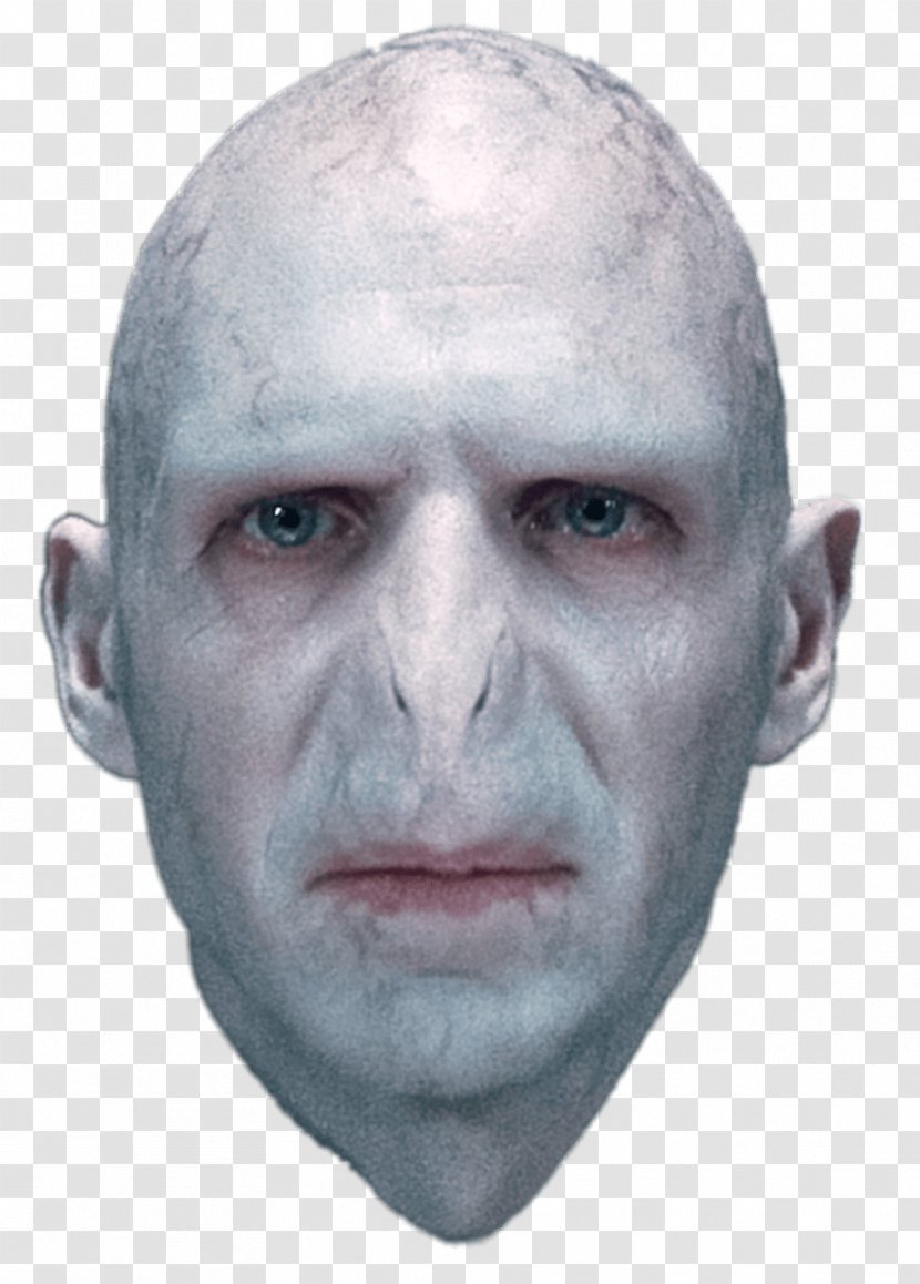 Lord Voldemort Ralph Fiennes Harry Potter (Literary Series) Professor Albus Dumbledore Actor - Character Transparent PNG