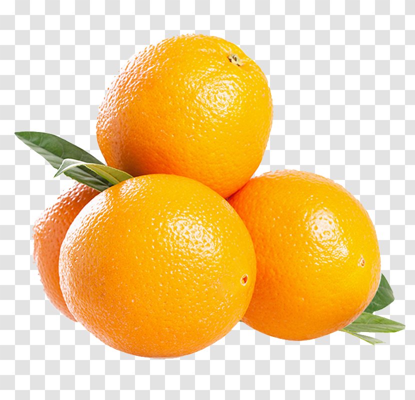 South Africa Blood Orange Mandarin Tangelo - Imports Of Oranges Transparent PNG