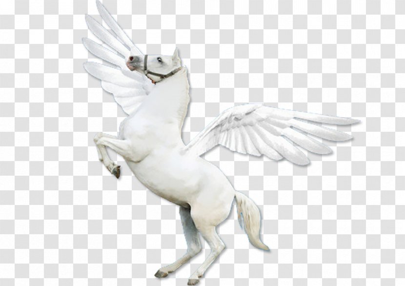 Poet - Preview - Pegasus Transparent PNG