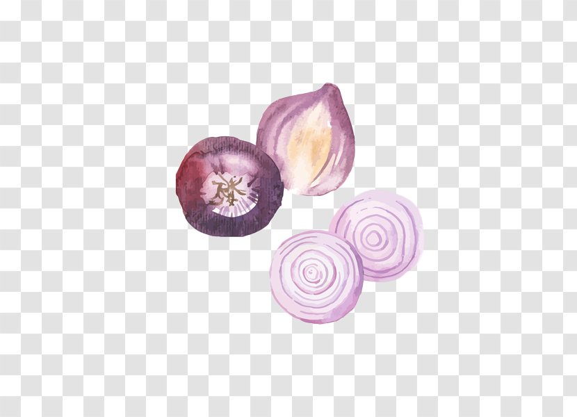 Onion Watercolor Painting Food - Pink - Hand-painted Purple Transparent PNG