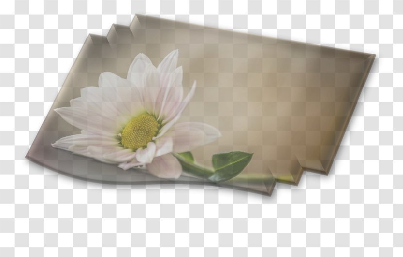 Rectangle - Flower Transparent PNG