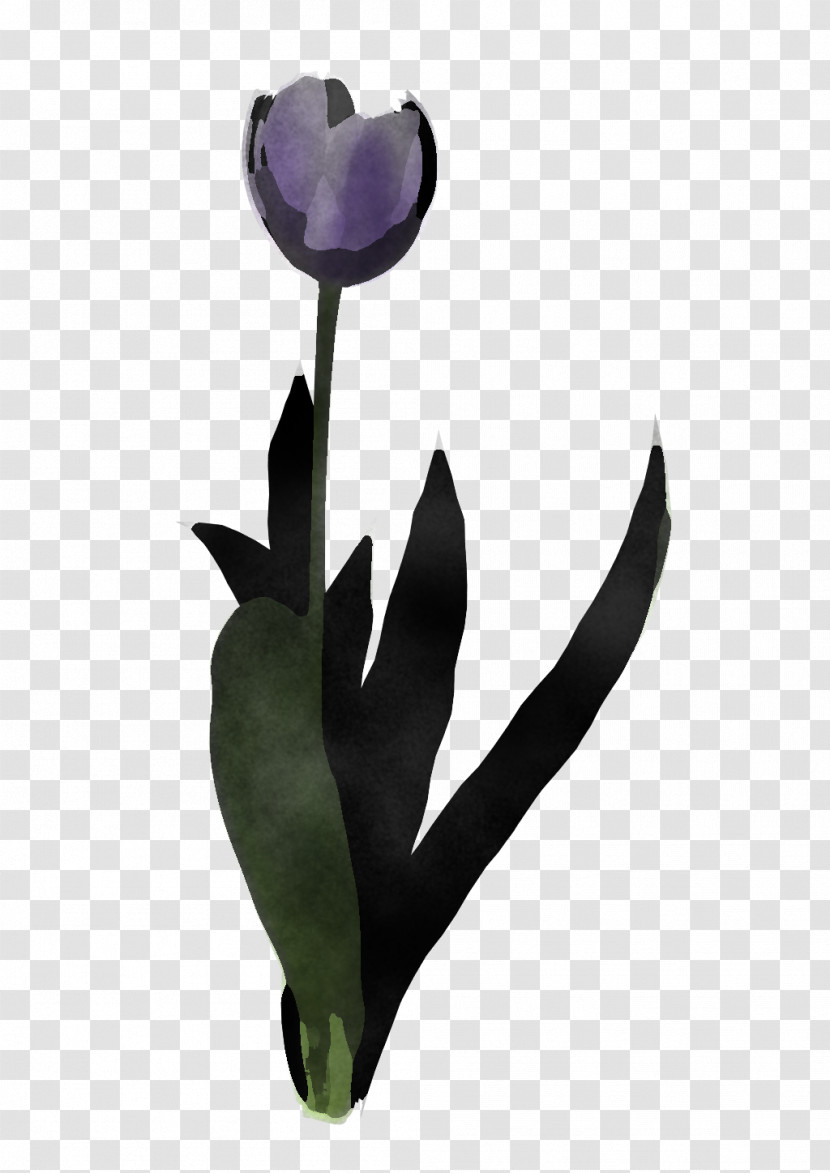 Flower Tulip Purple Violet Plant Transparent PNG