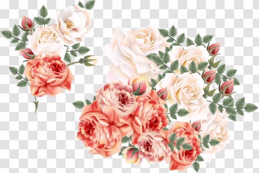 Garden Roses Centifolia Euclidean Vector Flower - Rosaceae - Hand-painted Flowers Transparent PNG