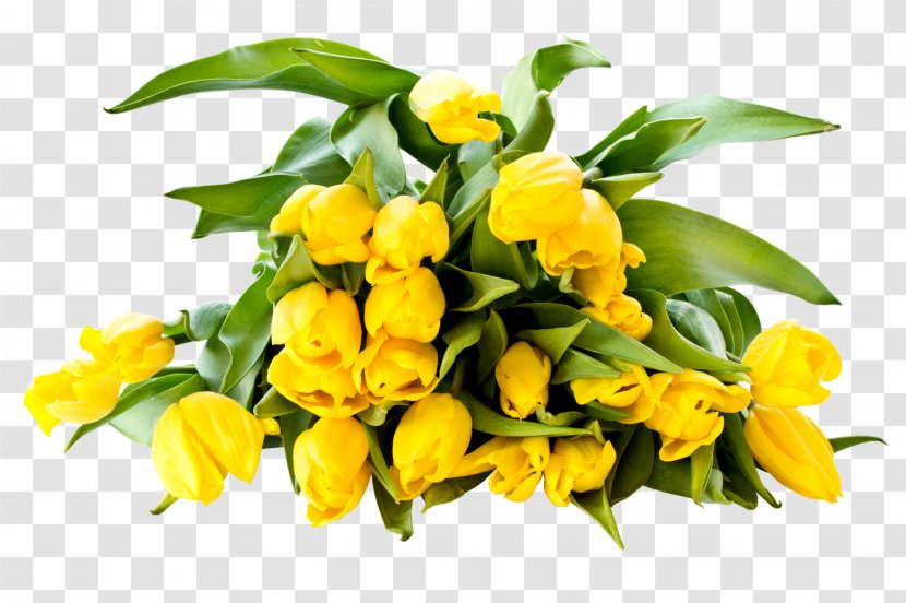 Flower Bouquet Tulip Desktop Wallpaper Yellow - Cut Flowers - Background Transparent PNG