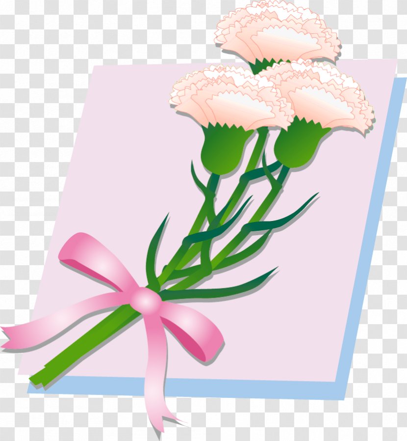 Floral Design Cut Flowers Carnation Flower Bouquet - Pink M Transparent PNG