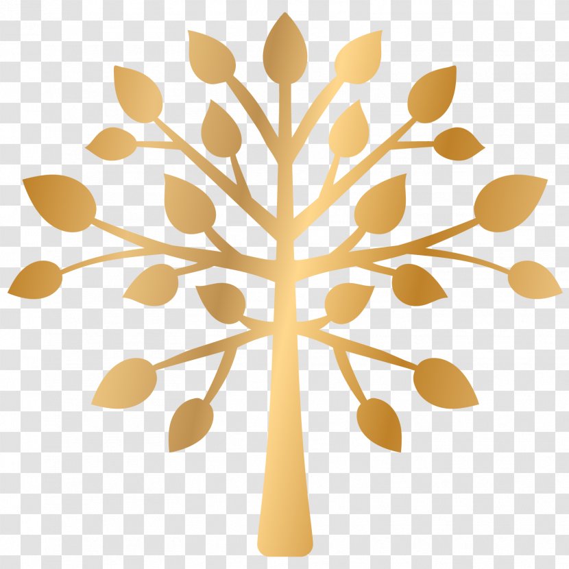 Background Womens Day - Nutraceutical - Plant Tree Transparent PNG