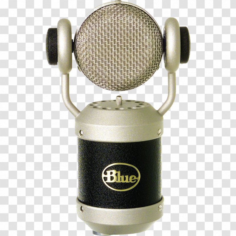 Blue Microphones Recording Studio Guitar Center Diaphragm - Tree - Creative Microphone Transparent PNG