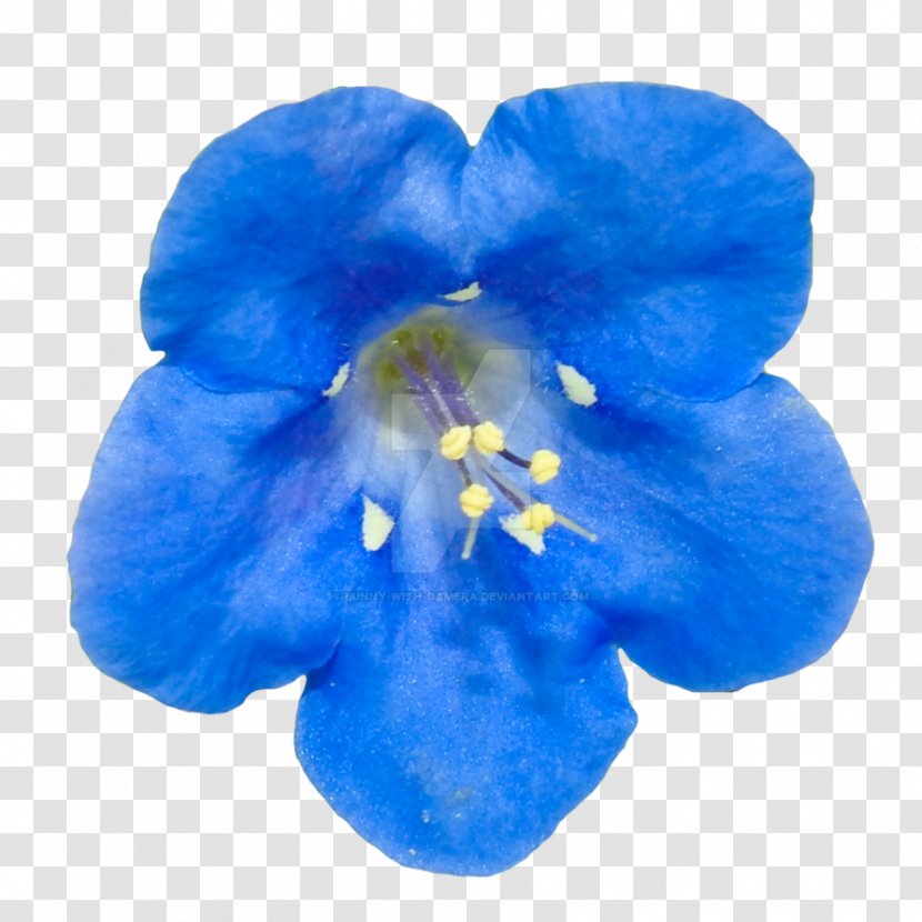 Blue Flower Clip Art Desktop Wallpaper Transparent PNG