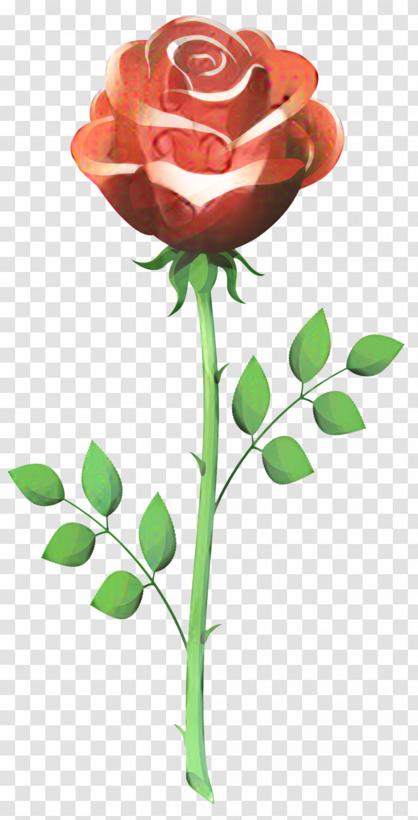 Vector Graphics Clip Art Rose Drawing - Family - Order Transparent PNG