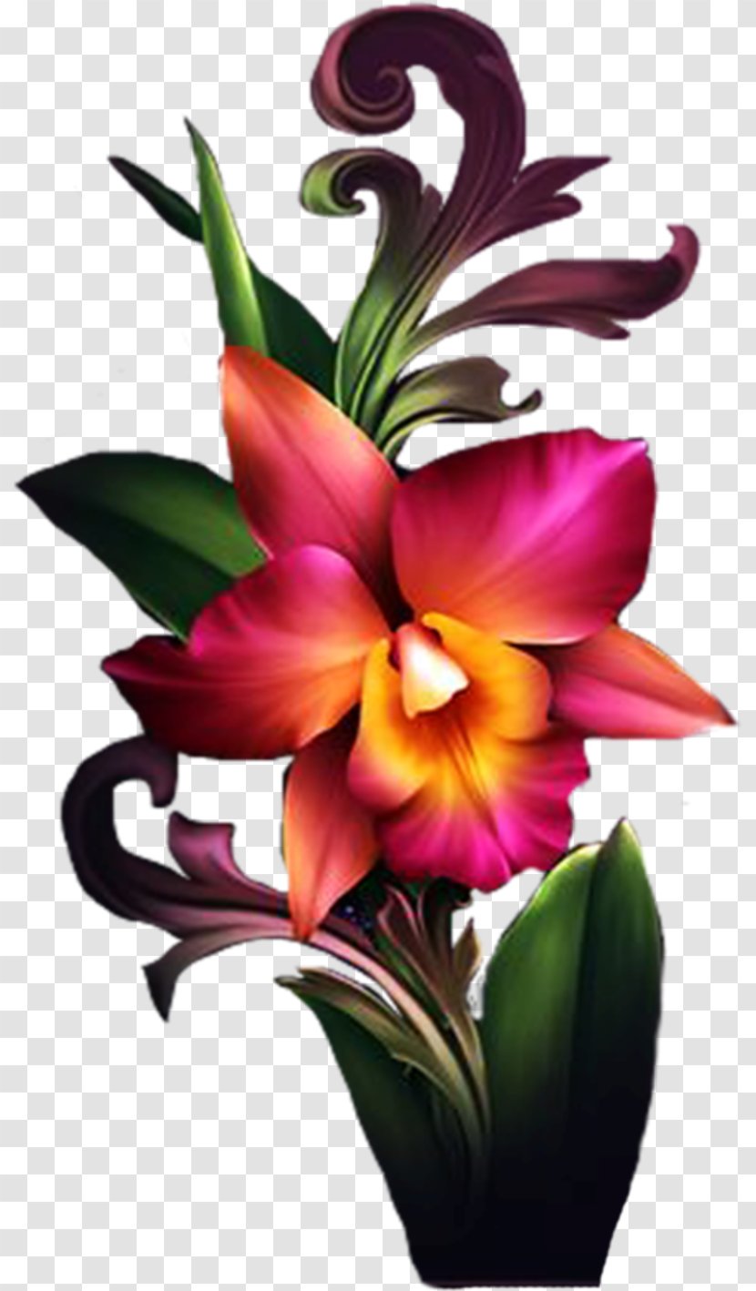 Cut Flowers Floral Design Cattleya Orchids Clip Art - Lily - Flower Transparent PNG