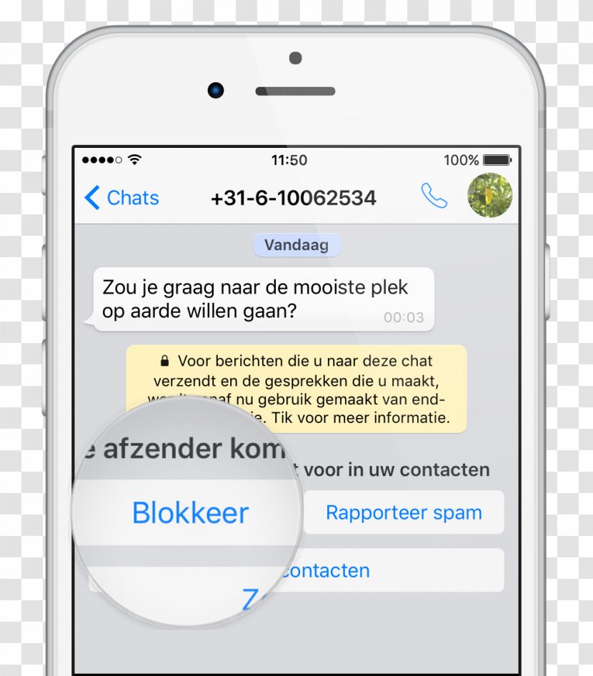 WhatsApp Message Telephone IPhone MSpy - Information - Whatsapp Transparent PNG