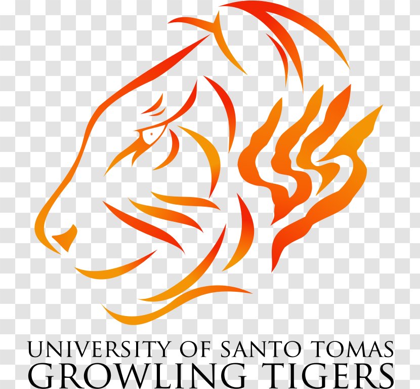 University Of Santo Tomas UST Growling Tigers Men's Basketball Drawing - Mascot - Tiger Transparent PNG