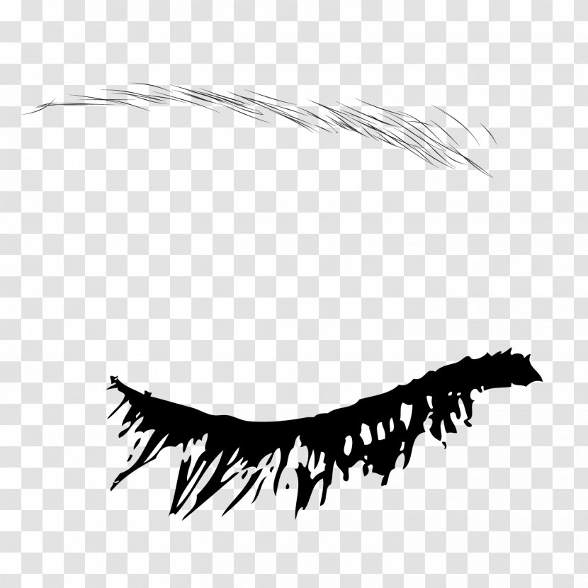 Eyebrow Euclidean Vector - Eyelash - Black Ink Material Transparent PNG