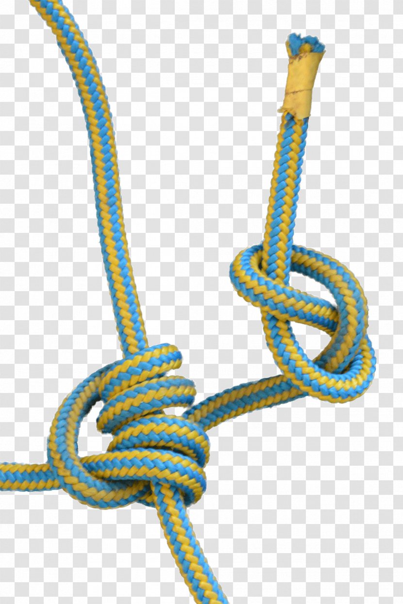 Rope Tree Climbing Knot Blake's Hitch Transparent PNG