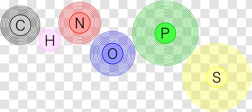 CHON Nitrogen Hydrogen Carbon Chemical Element - Organism - Symbol Transparent PNG