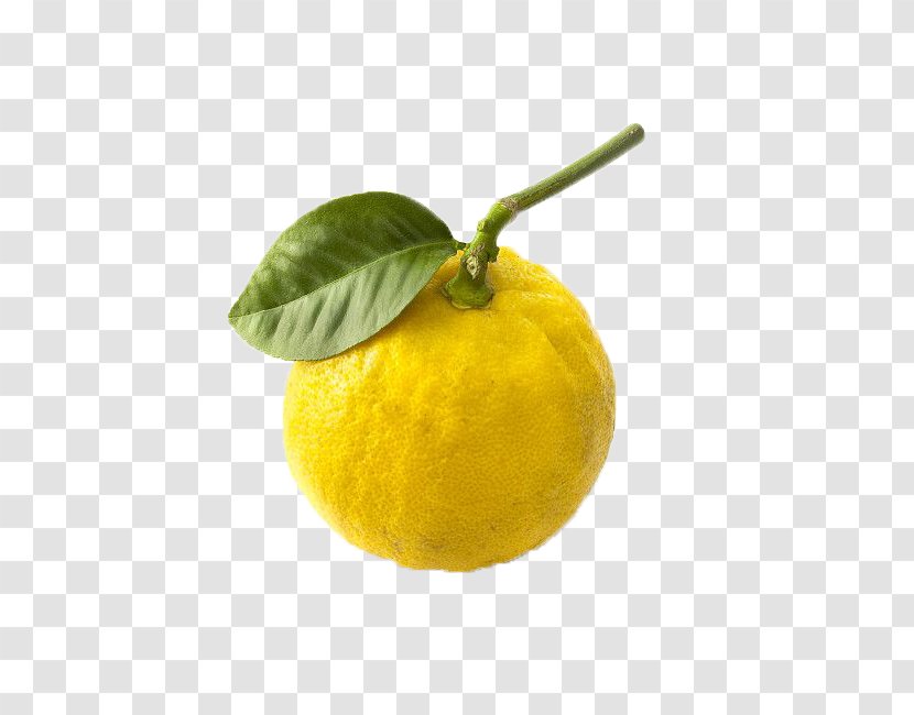 Citrus Junos Lemon Mandarin Orange Bergamot Rangpur - Fruit Transparent PNG