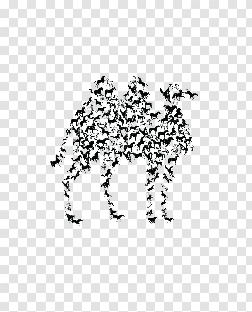 Black And White Poster - Visual Arts - Camel Transparent PNG