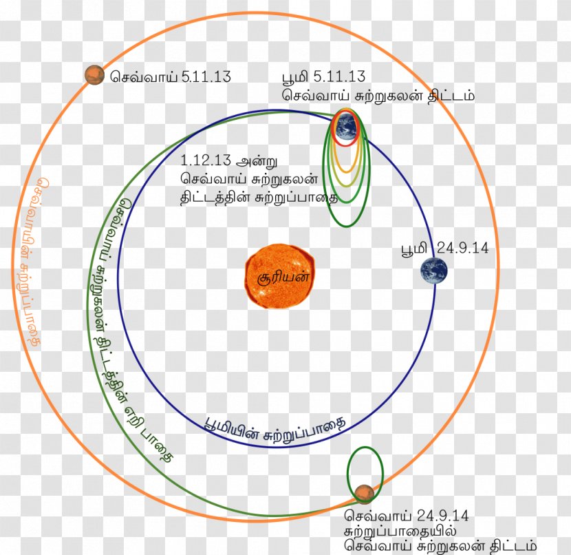 Diagram Circle Point Organism Transparent PNG