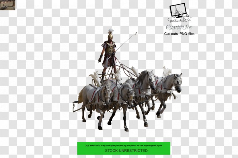 Horse Tack Chariot Wagon Harnesses - Like Mammal - Romaine Transparent PNG