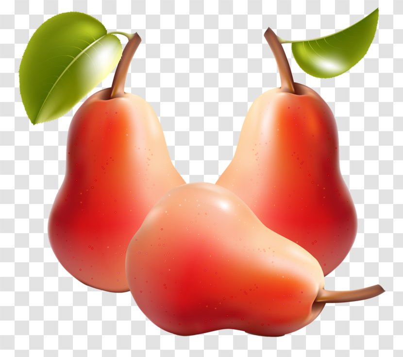 Fruit Vegetable Pear Illustration - Red Transparent PNG