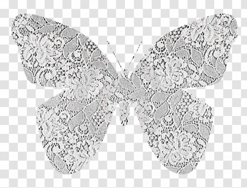 Lace Paper Butterfly Textile - Insect Transparent PNG