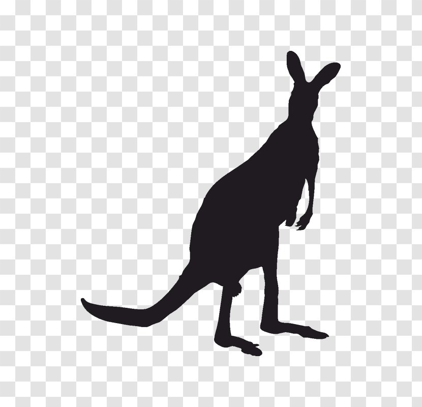 Red Kangaroo Koala Silhouette Macropodidae - Marsupial Transparent PNG