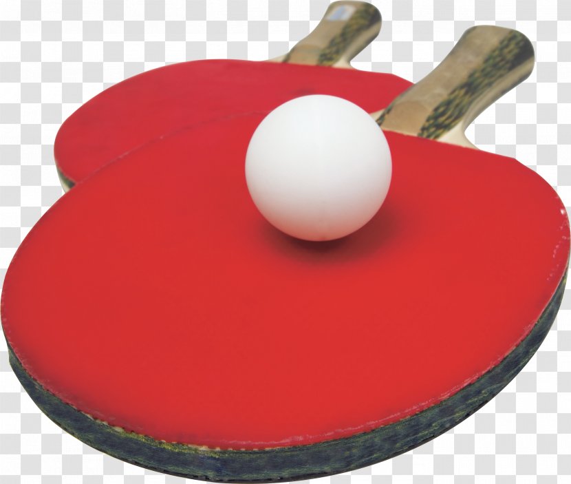 Table Tennis Racket - Badminton - Bats And Transparent PNG
