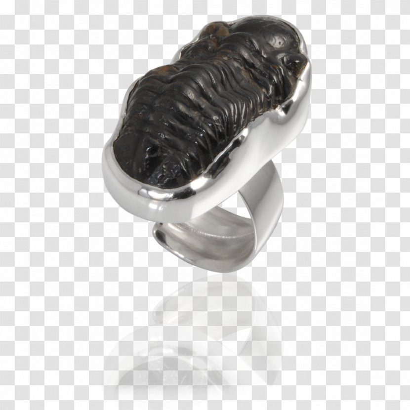 Earring Gemstone Fossil Jewellery - Ring Transparent PNG
