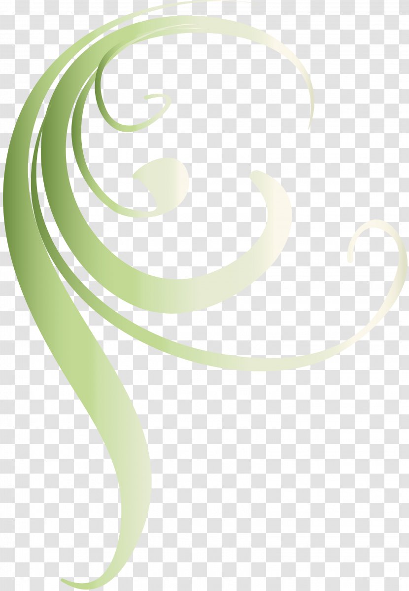 Desktop Wallpaper Green - Spiral - Floralelement Transparent PNG