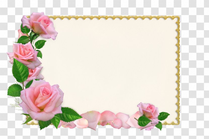 Convite Wedding Picture Frames Photography - Garden Roses Transparent PNG