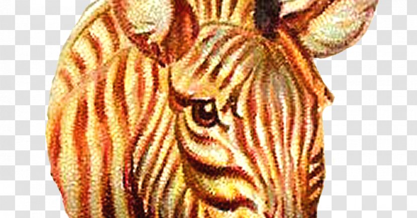 Zebra Cat Tiger - Horse Like Mammal Transparent PNG