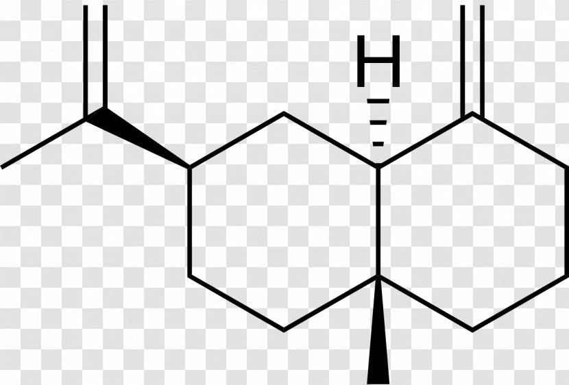 Chemical Formula Chemistry Molecule Compound Leucine - Cartoon - Frame Transparent PNG